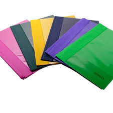 Carpeta Tapa Trasparente Carioca con Bincha